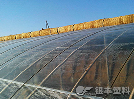 三层共挤长寿流滴消雾EVA保温大棚膜产品图片