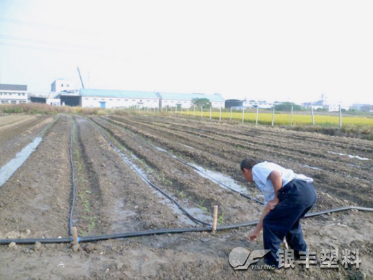 河北省石家庄滴灌带案例